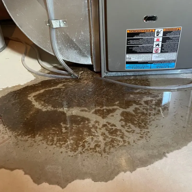 Pipe Burst and Leak Restoration in Madison County, IN