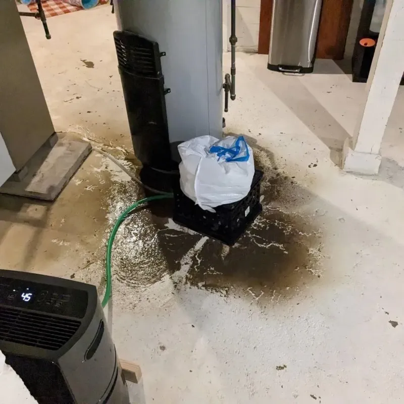 Sewage Backup Cleanup Service in Madison County, IN